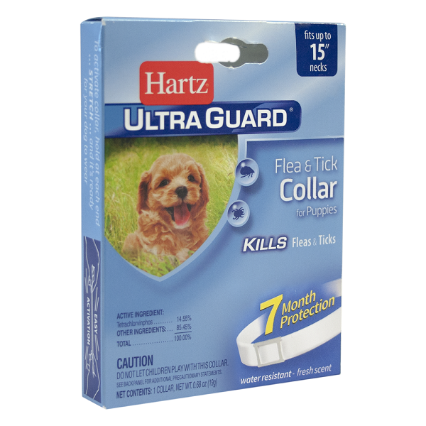 Collar Antipulgas 2 En 1 Perro Cachorro Pulgas Garrapatas