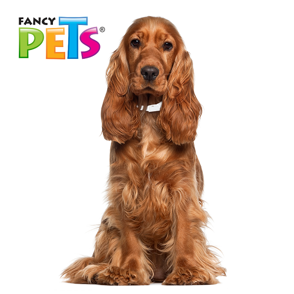 Collar Antipulgas Garrapatas Perro Mediano