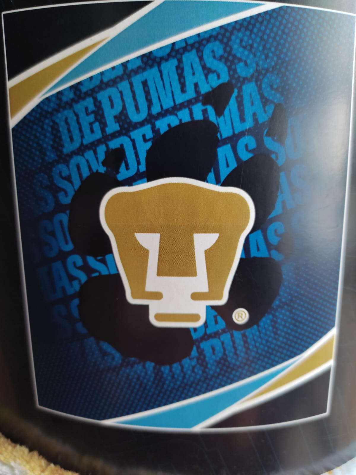 Frazada Cobertor  de los Pumas  UNAM  Matrimonial 