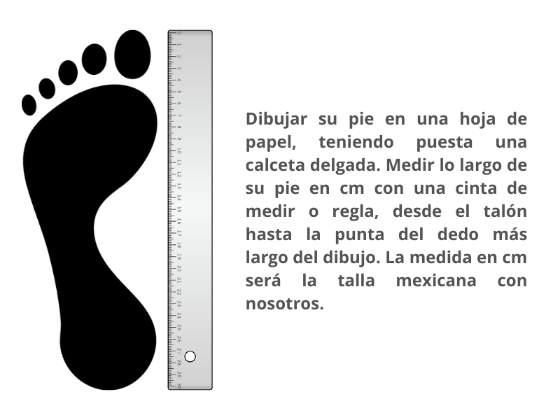 Zapato Carlo Ronaldi 7702 Becerro Café Bordeux