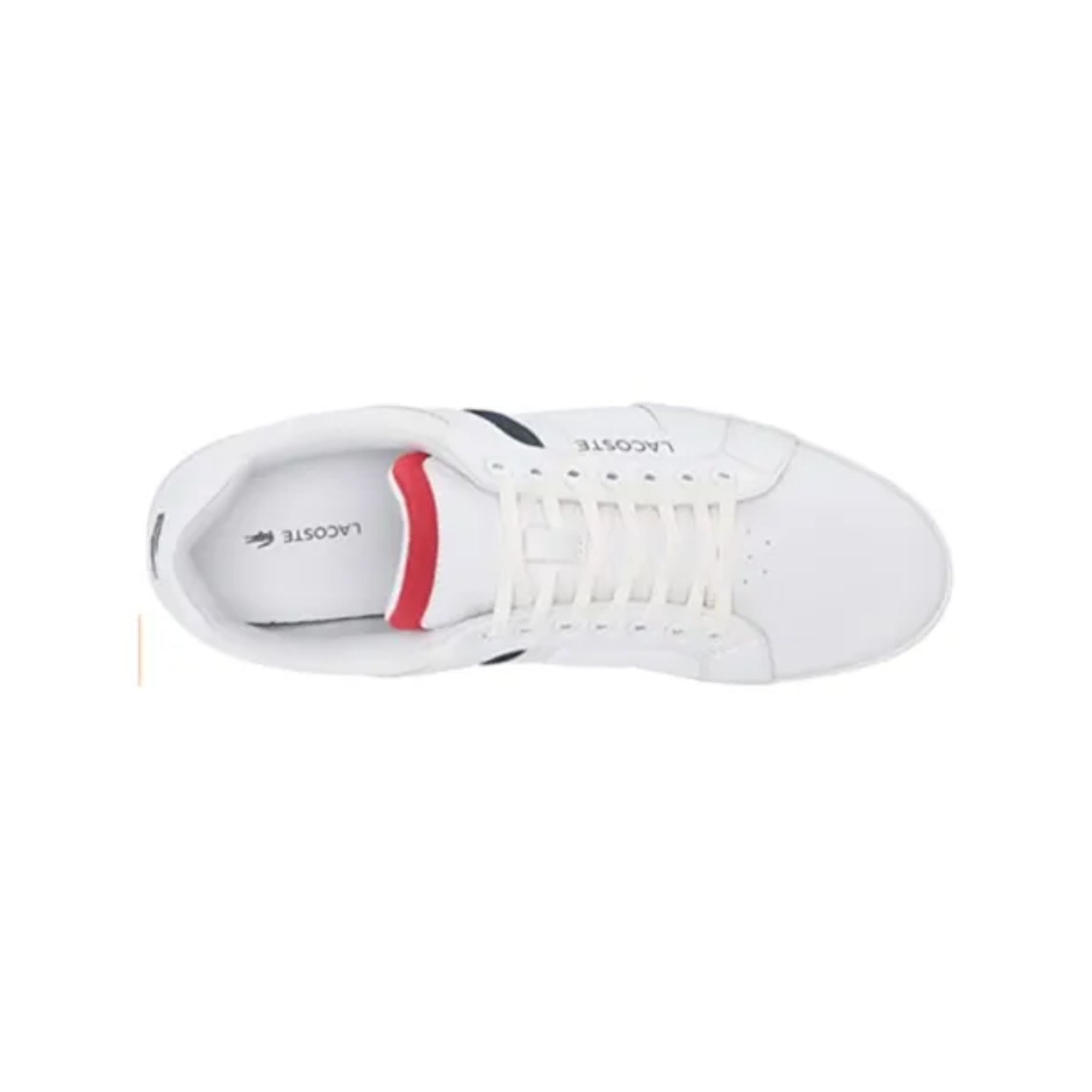 Tenis Lacoste Chaymon Club 0120 1 Blanco Hombre Originales 0007407