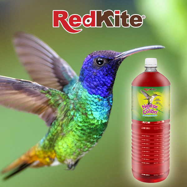 Nectar Para Colibri De 2 Litros