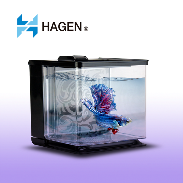 Betta Kit Ez Care Betera Autolimpieza Peces Acuario