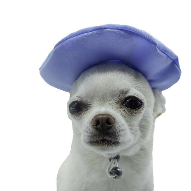 Boina Azul Cielo para Mascotas de la Marca Mascotti Talla G