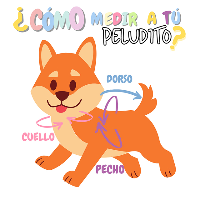 Boina Azul Cielo para Mascotas de la Marca Mascotti Talla G