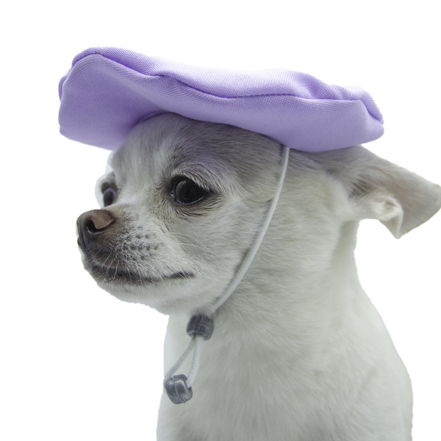 Boina Lila para Mascotas de la Marca Mascotti Talla G