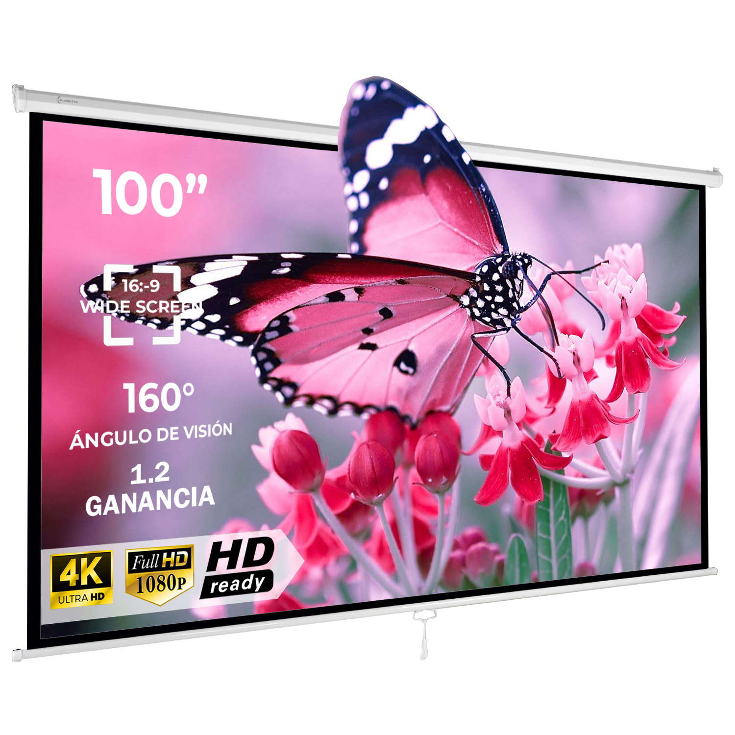 Pantalla Proyector Manual 100' Blackout 16:9 Quick Release