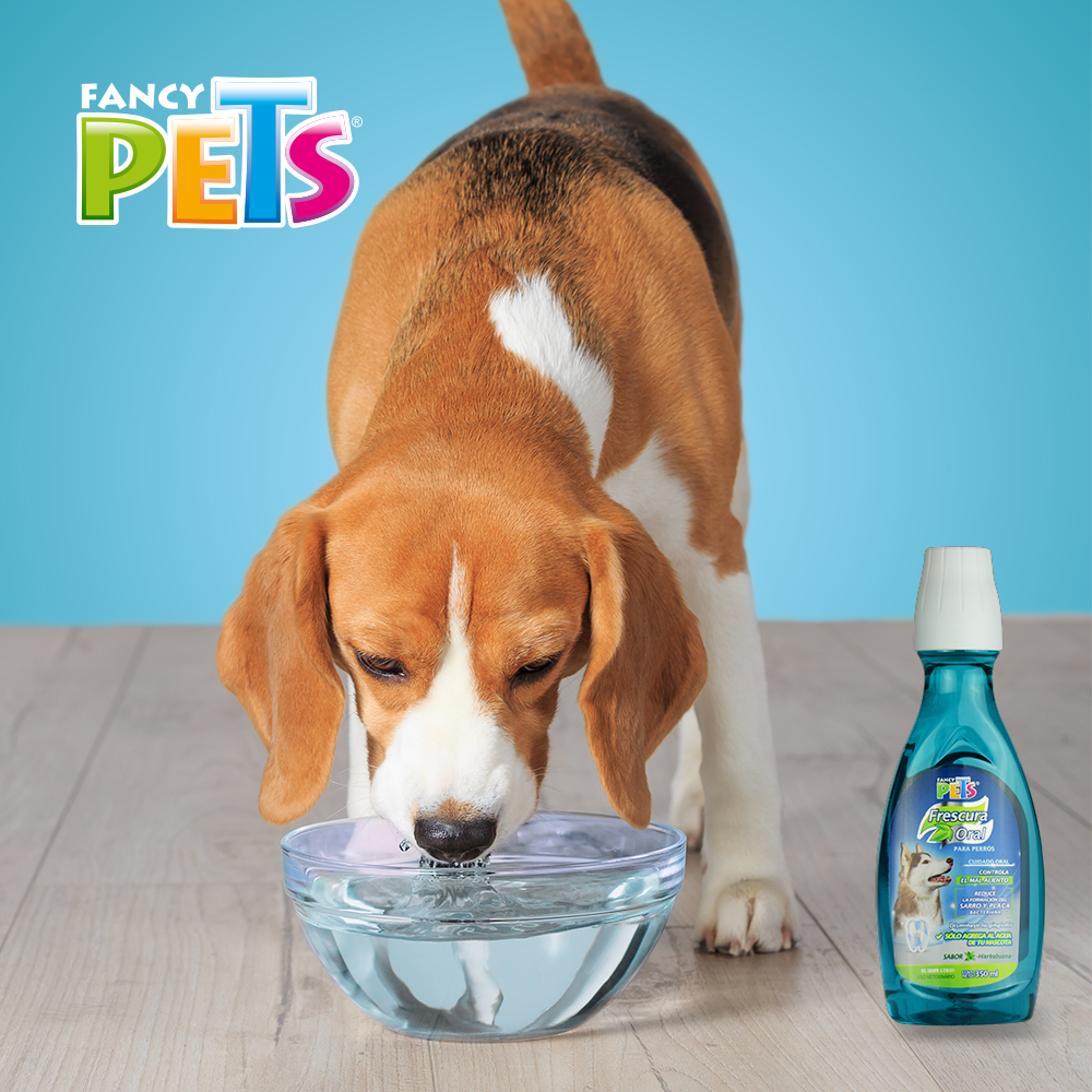 Enjuague Bucal Para Perros Fancy Pets 350 Ml Aliento Perro