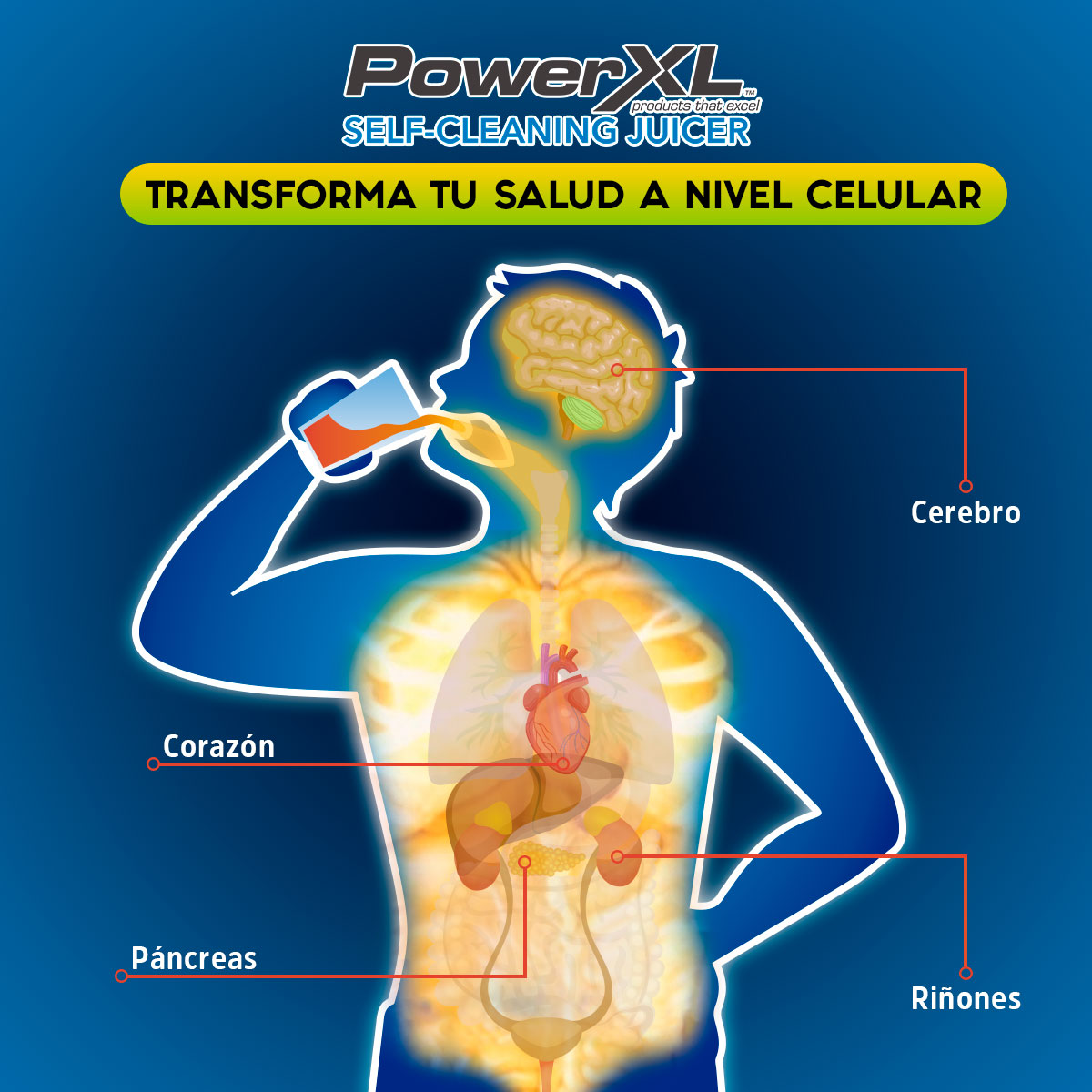 Extractor de Jugos POWER XL autolimpiable 3 Niveles