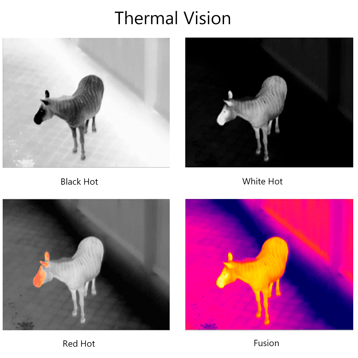 DALI Monocular Termal de visión nocturna