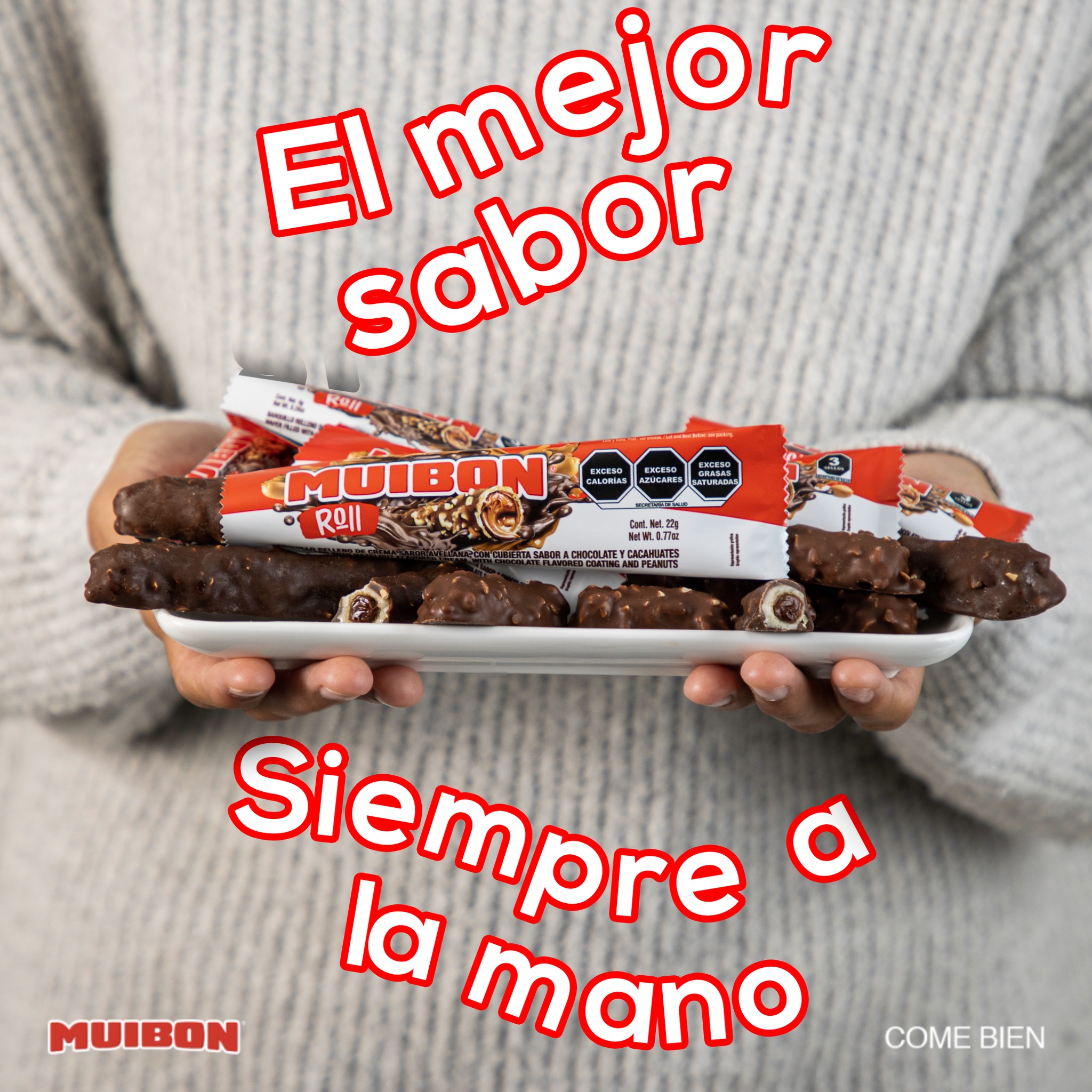 Muibon Chocolate Rollo de Galleta Avellana Caja 15 Piezas