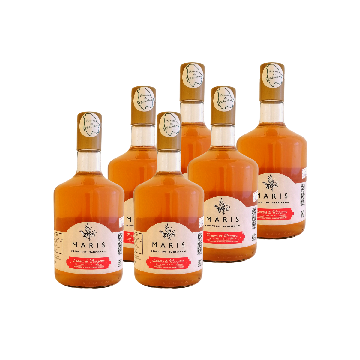 Paquete 6 piezas Vinagre de Manzana con La Madre