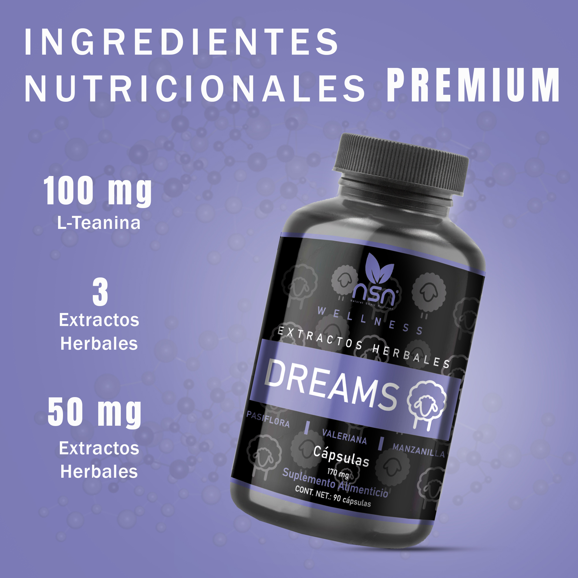 Dreams Sleep