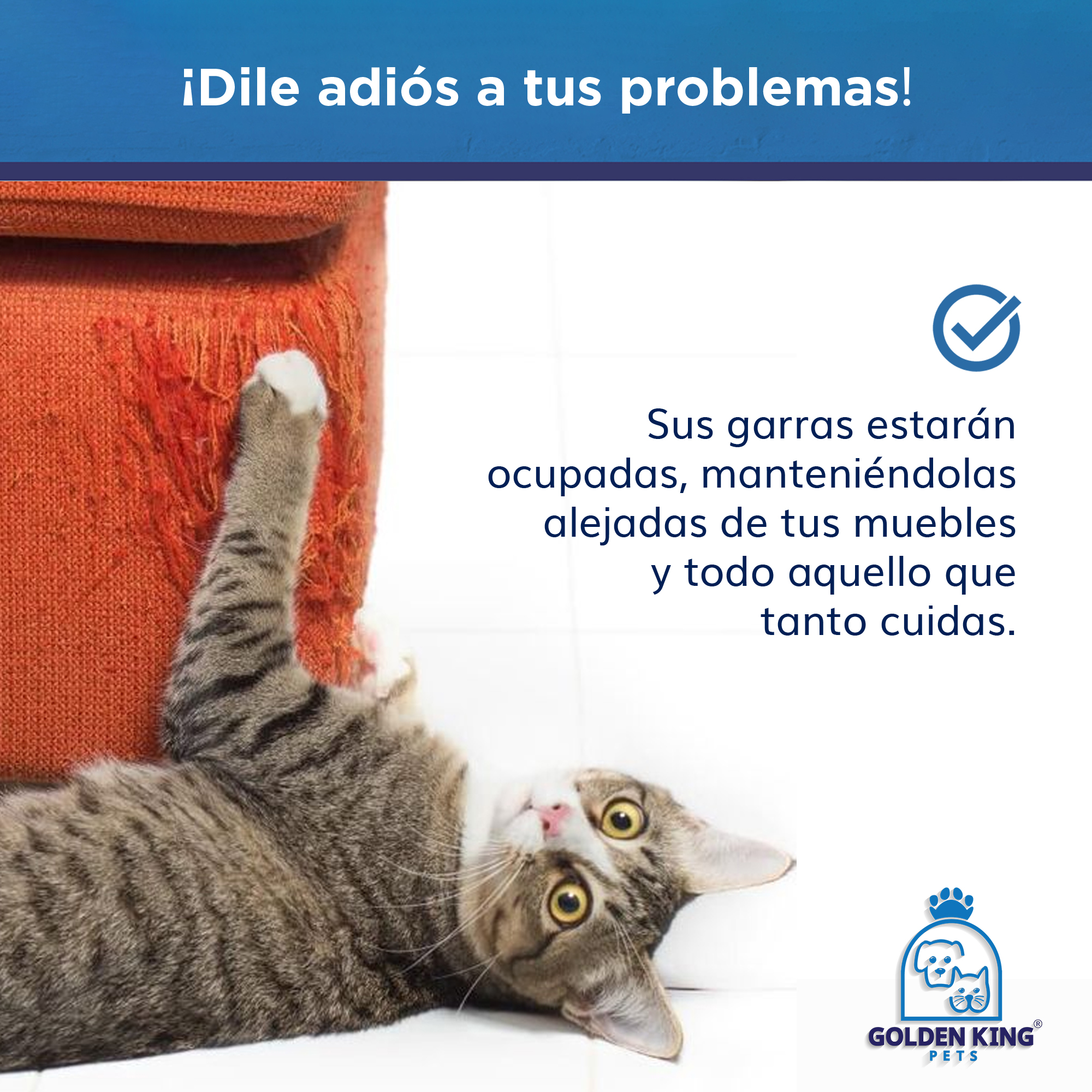 Poste Juguete Rascador Gato Grande | 1 Metro | Gratis Catnip | 