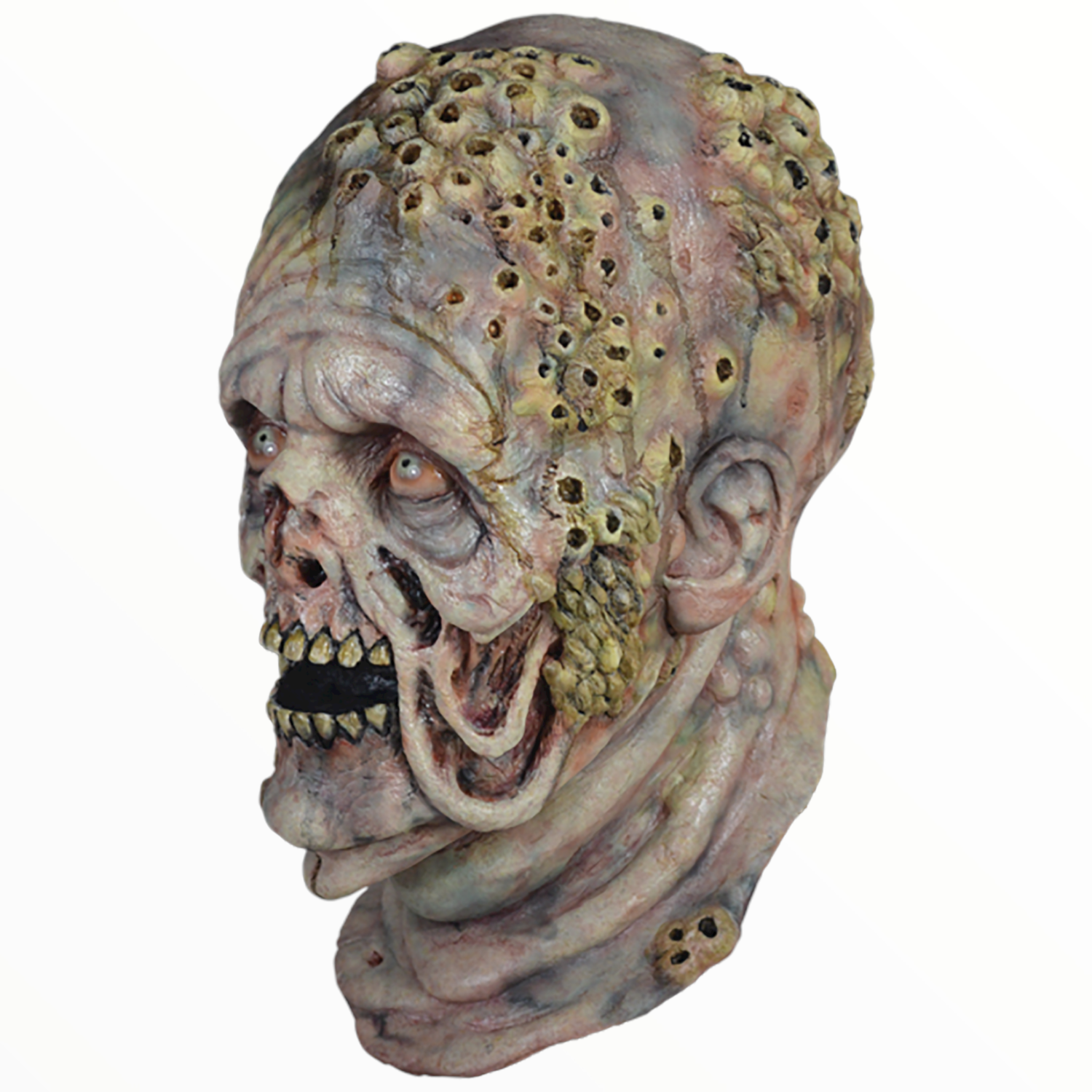  Máscara De Zombie Barnacle Walker The Walking Dead