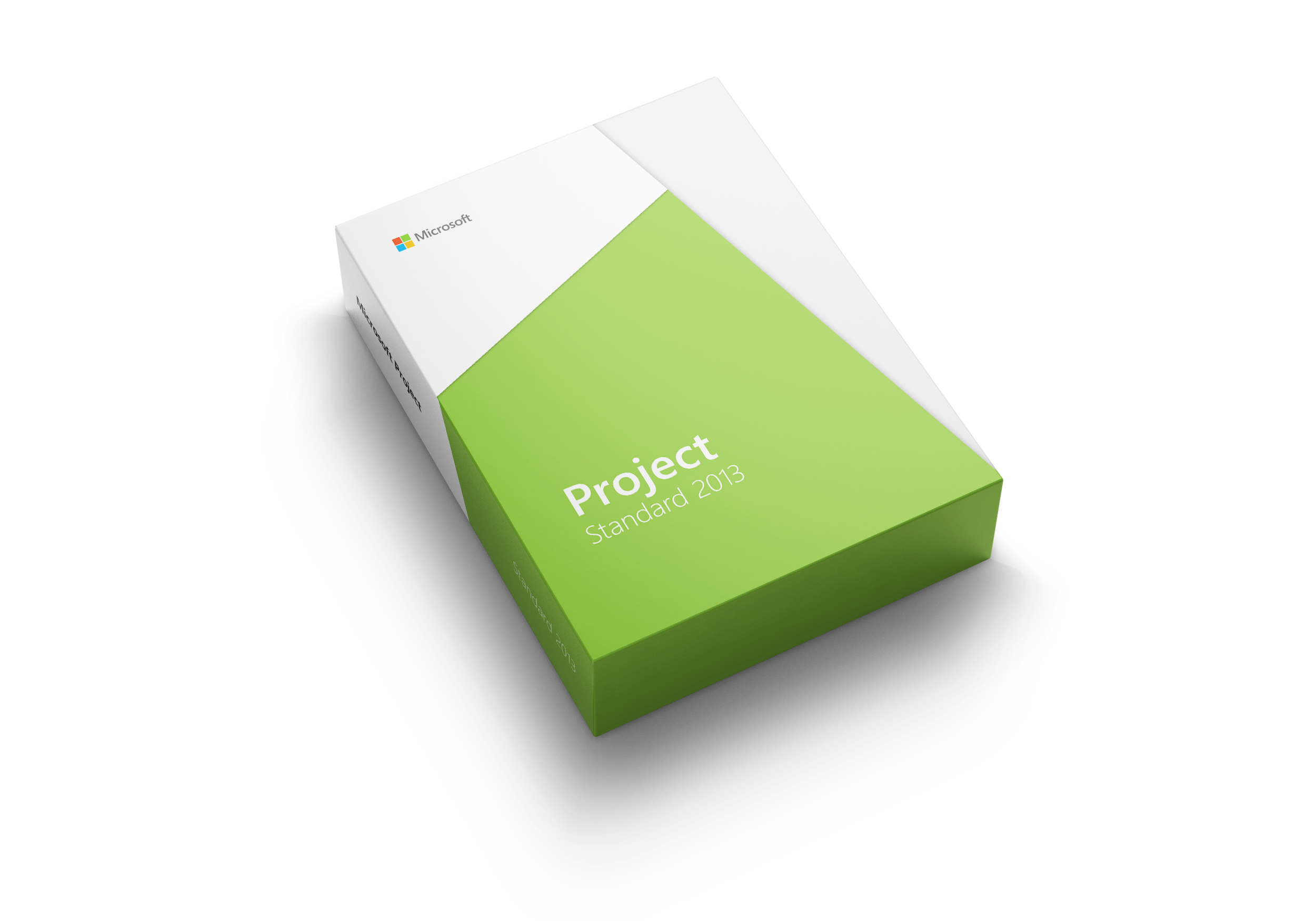 Project Standard 2013