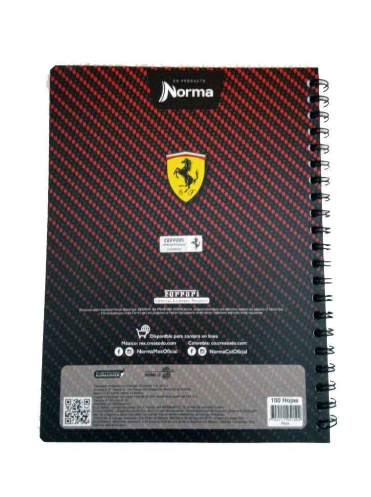 CUADERNO PROF. FERRARI NORMA RAYA 100H.