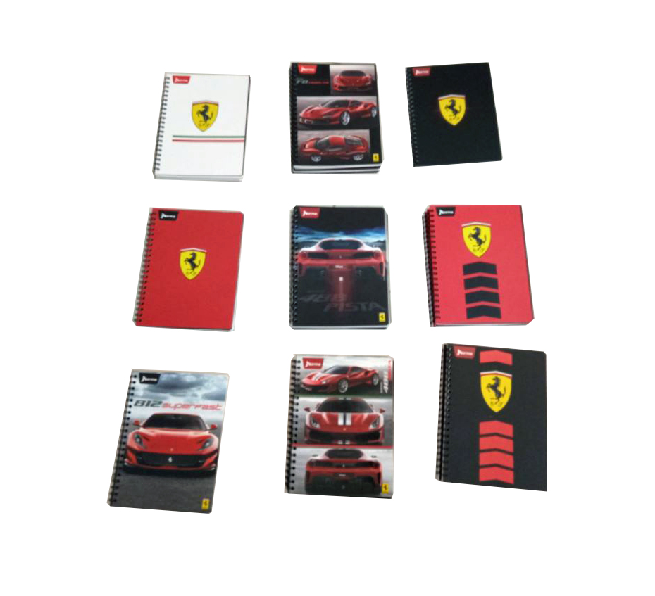 CUADERNO PROF. FERRARI NORMA RAYA 100H.