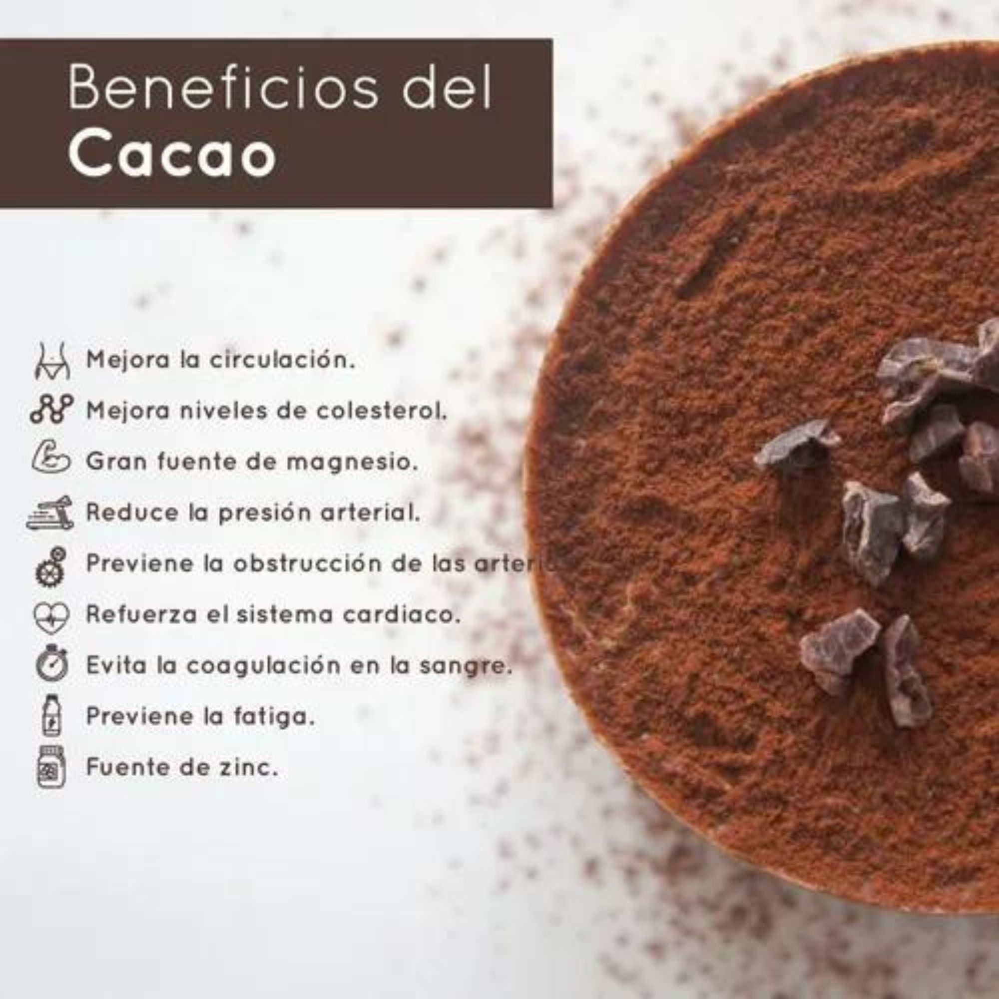 Cacao En Polvo Orgánico 200g Raw Xoco Maya