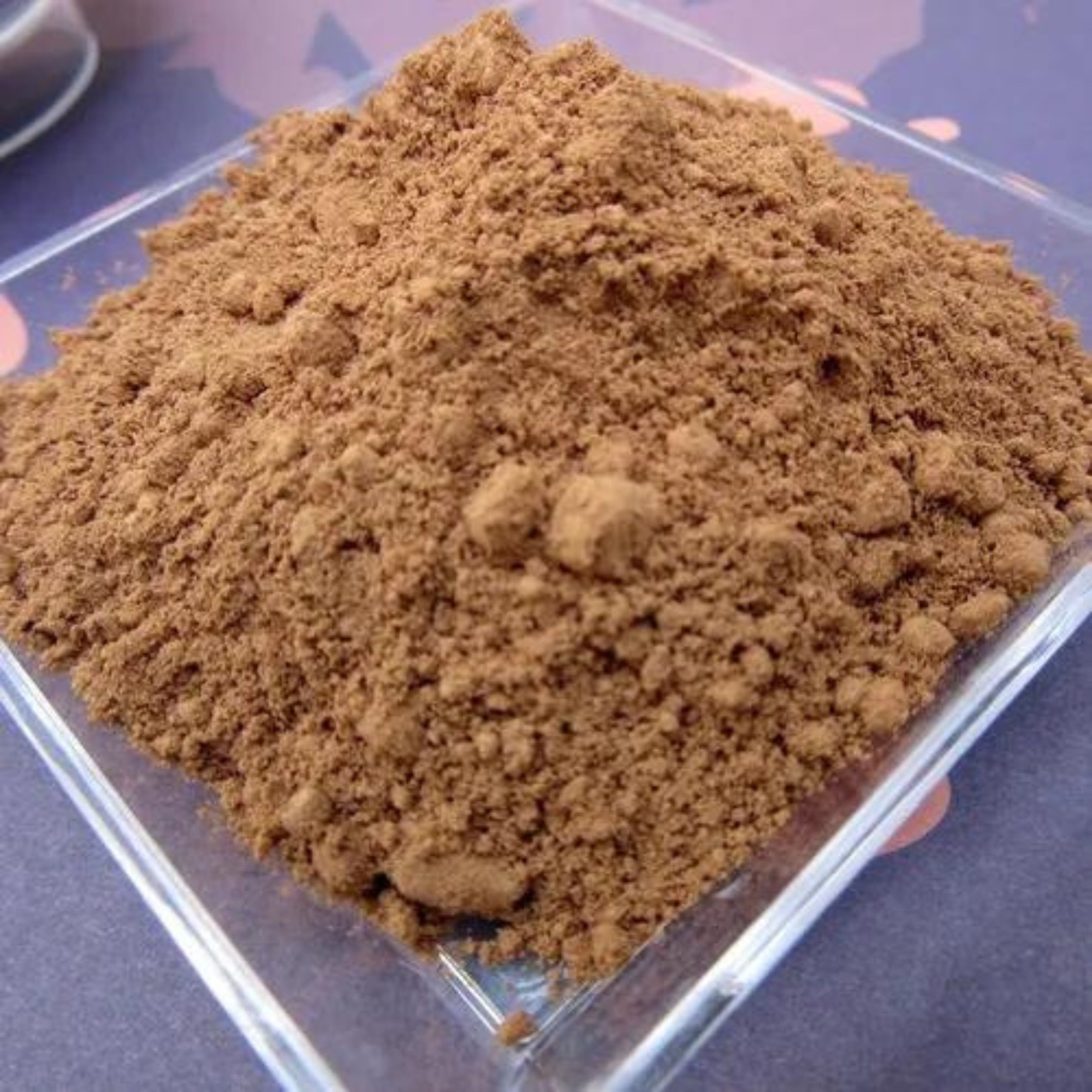 Cacao En Polvo Orgánico 500g Raw Xoco Maya