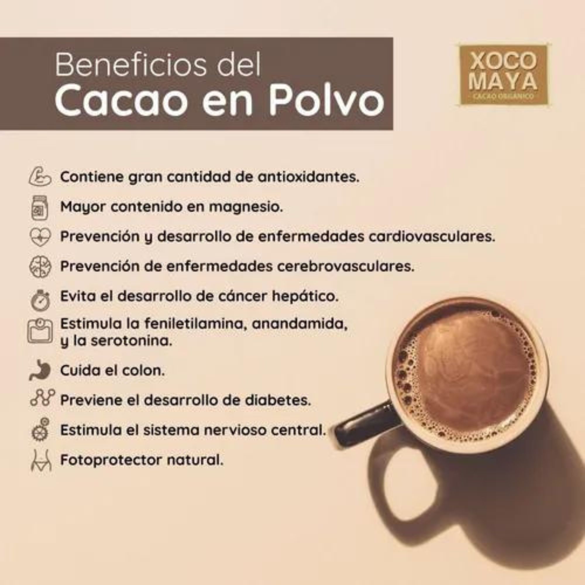 Cacao En Polvo Orgánico 500g Raw Xoco Maya