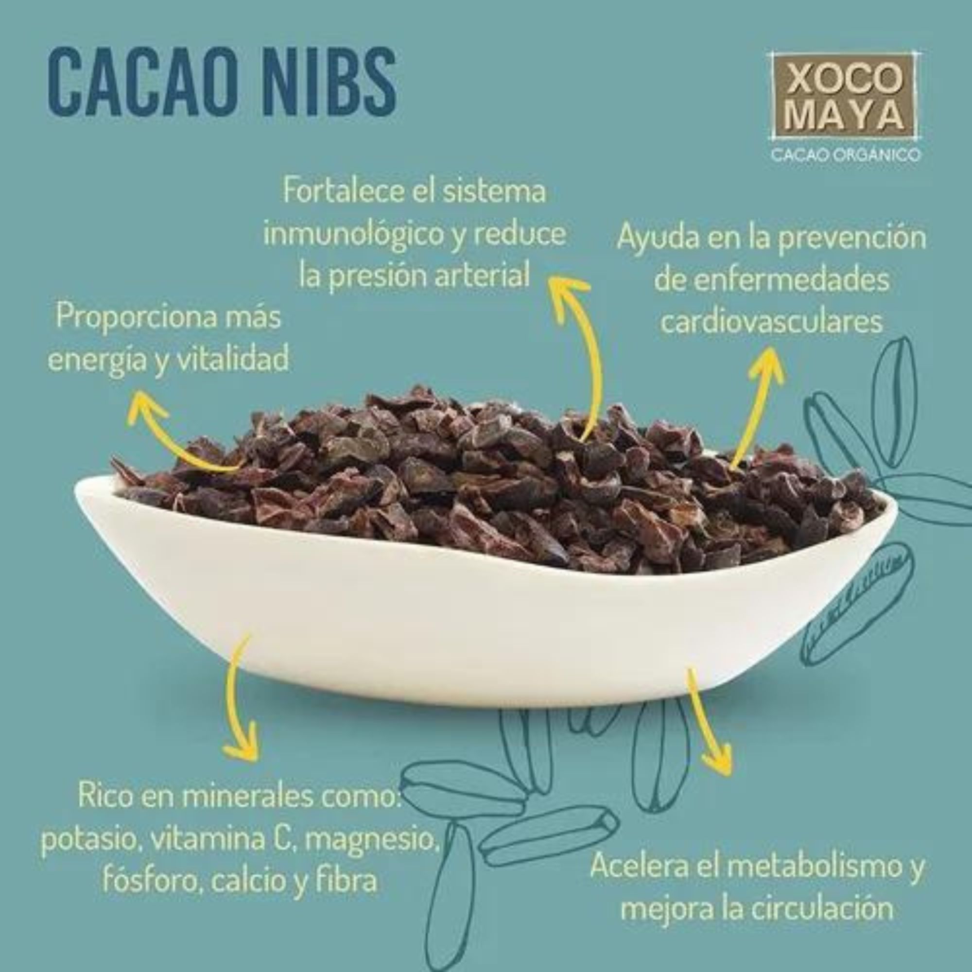 Cacao Granulado Crudo Orgánico 200g Raw Xoco Maya 