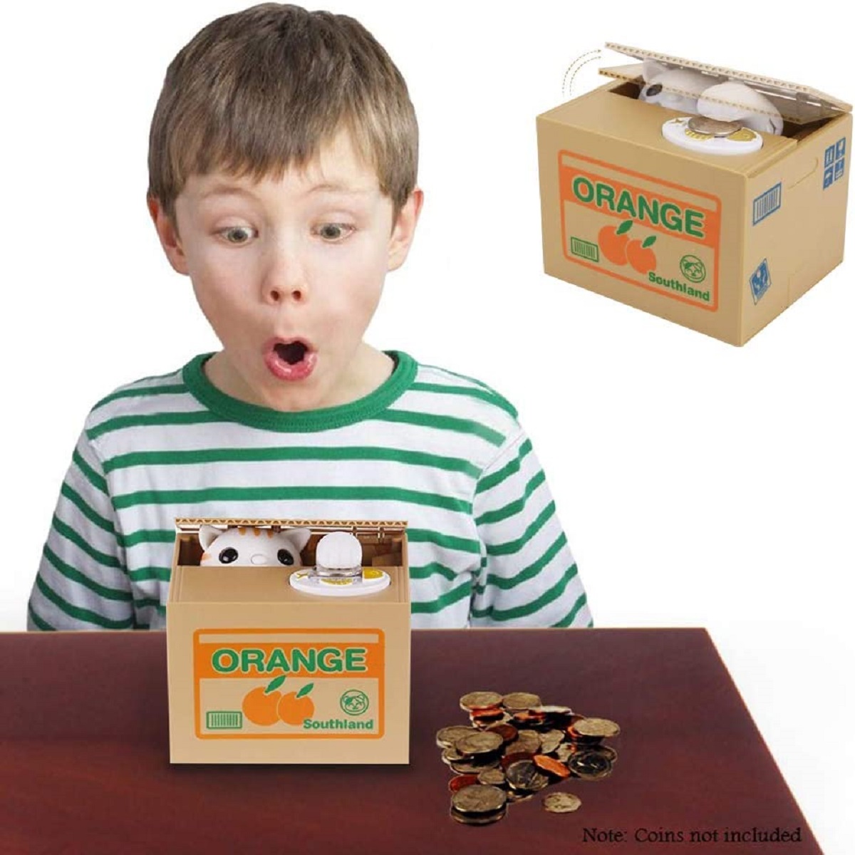 alcancia roba monedas gato