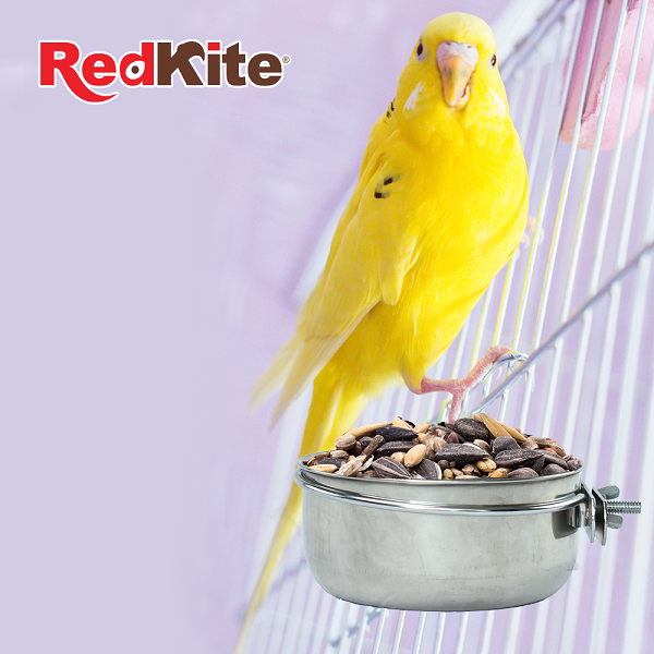 Taza con Abrazadera Para Jaula Ave 20 Onzas Acero Inoxidable