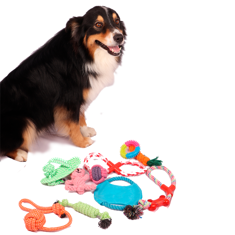 Kit Con 10 Juguetes De Hilo Para Perro Innovapets