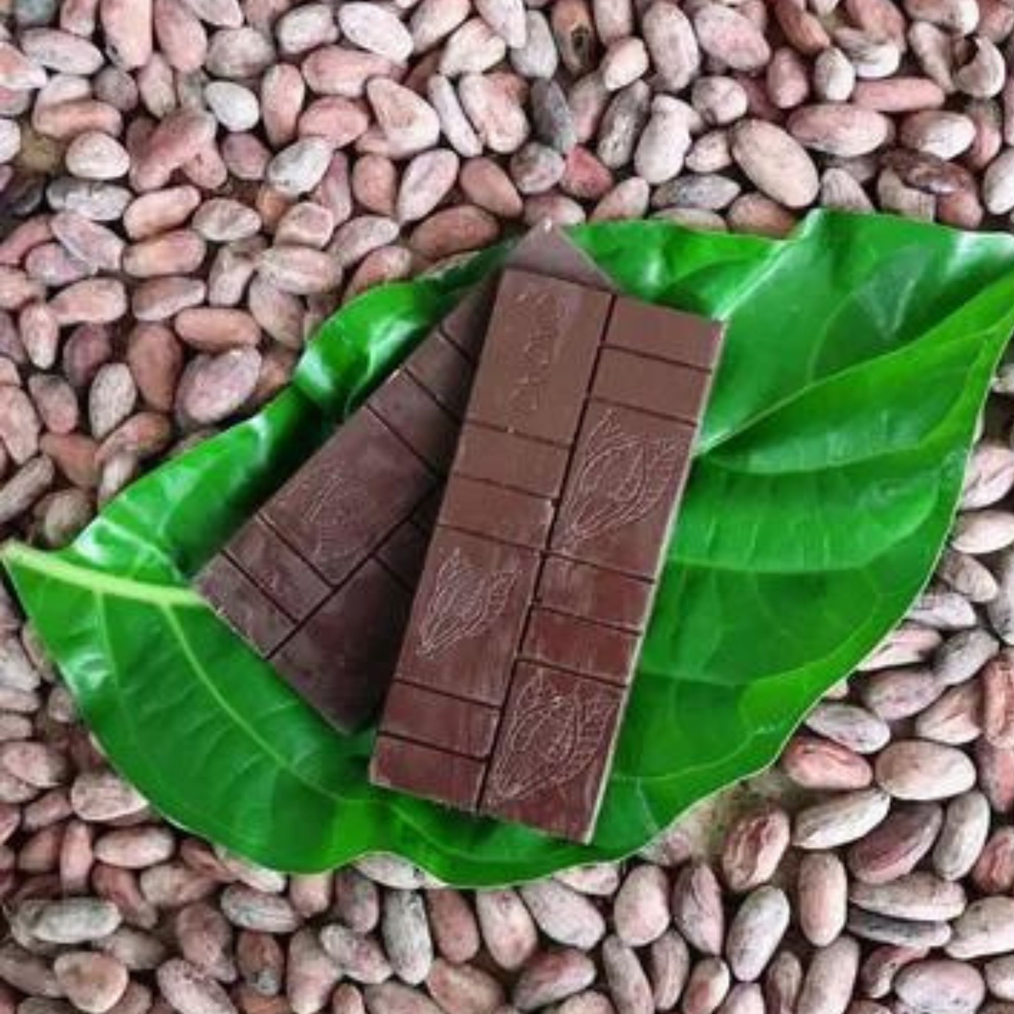 Chocolate Semiamargo Coco Caribeño 60g Mazorca Negra