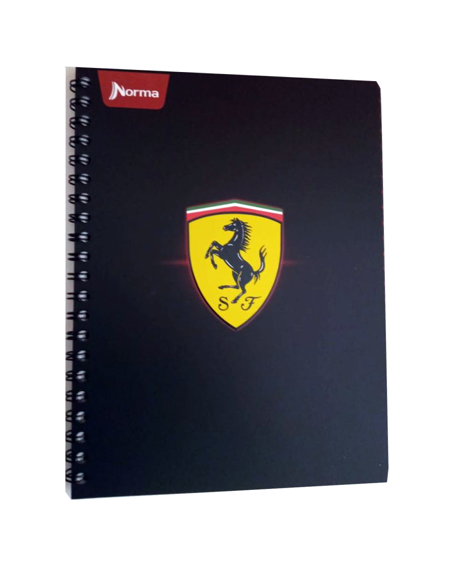 CUADERNO PROF. FERRARI NORMA RAYA 100H.