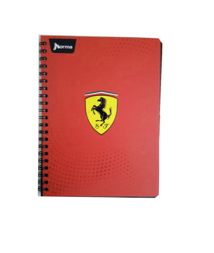 CUADERNO PROF. FERRARI NORMA RAYA 100H.