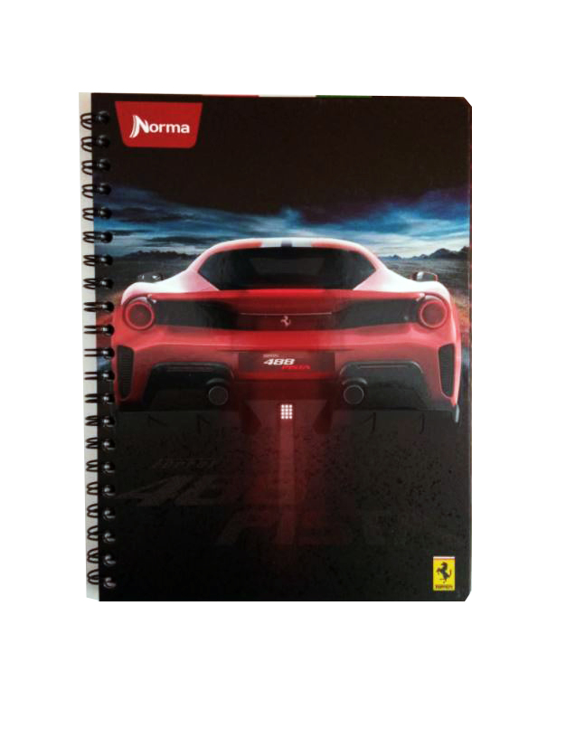 CUADERNO PROF. FERRARI NORMA RAYA 100H.