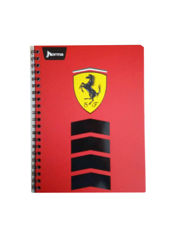 CUADERNO PROF. FERRARI NORMA RAYA 100H.