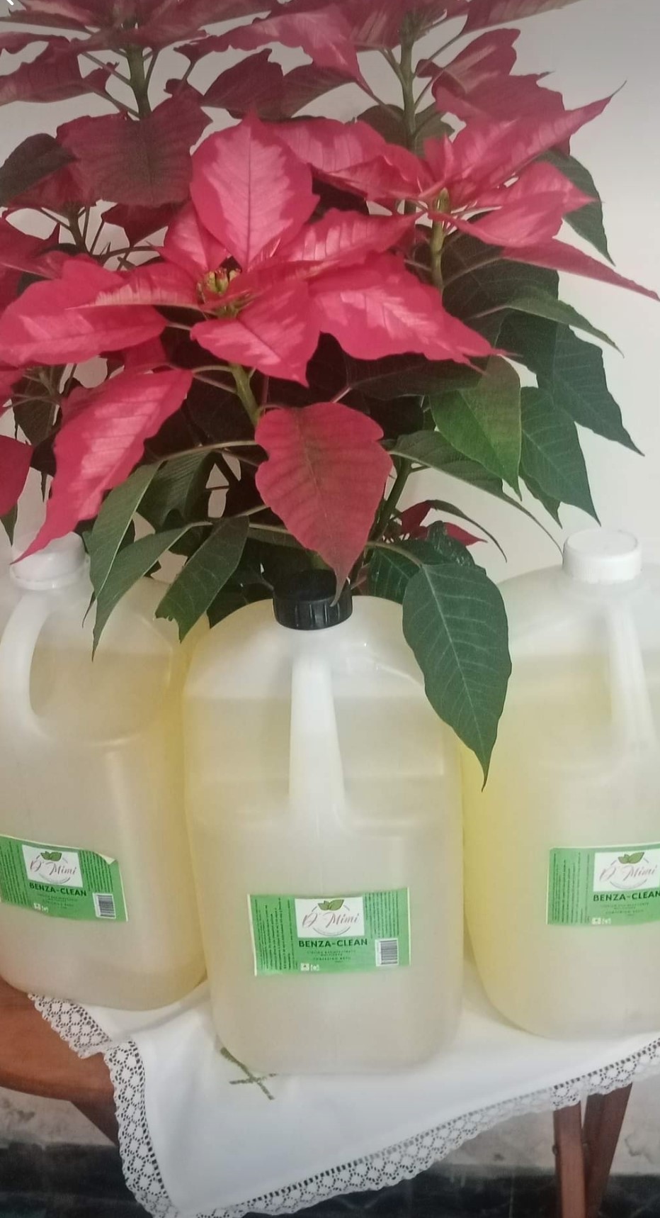 Desinfectante para Superficies