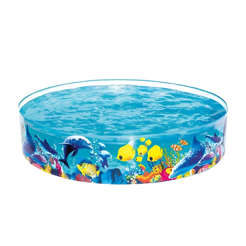 Alberca Circular Infantil Rígida Grande 1.83 Metros Diseño Peces Piscina  Para Niños Play Day