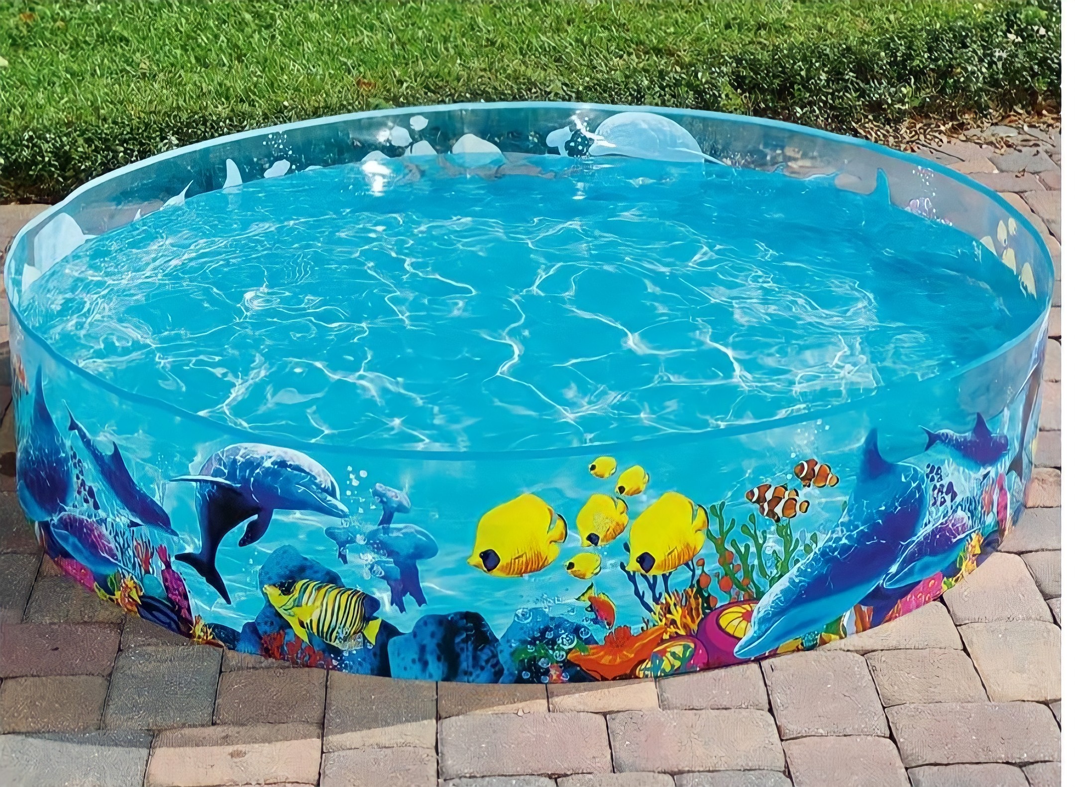 Alberca Circular Infantil Rígida Grande 1.83 Metros Diseño Peces Piscina  Para Niños Play Day