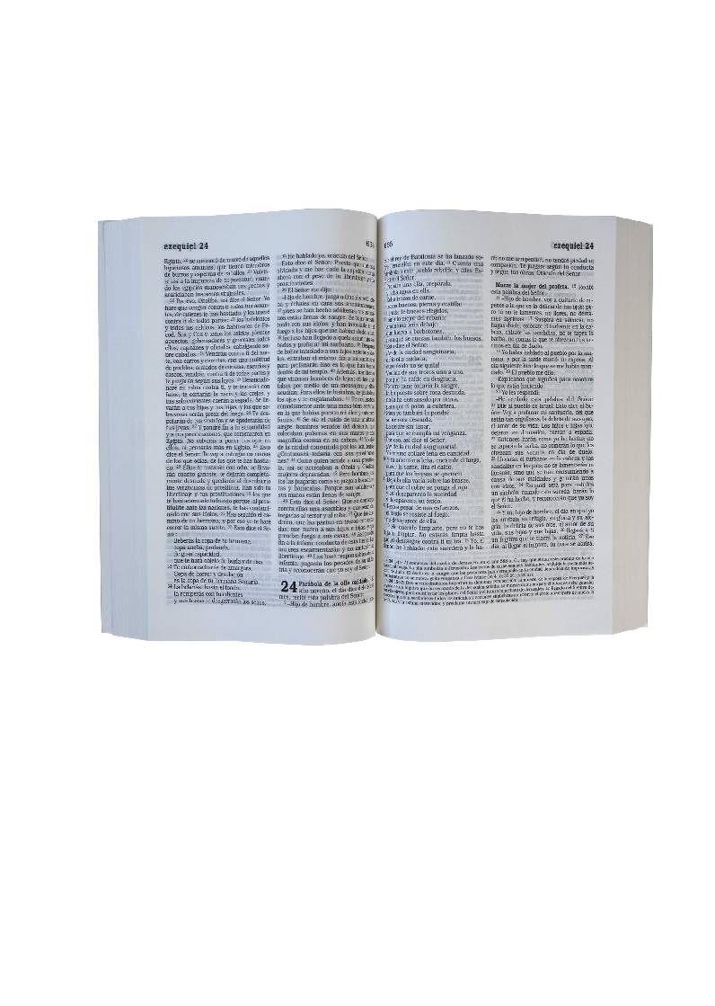 La Biblia Católica: Edición letra grande. Rústica, roja.