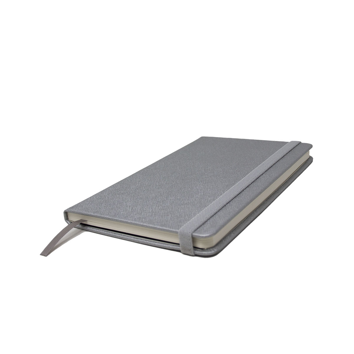 Libreta Tipo Moleskine Acabado Metálico 