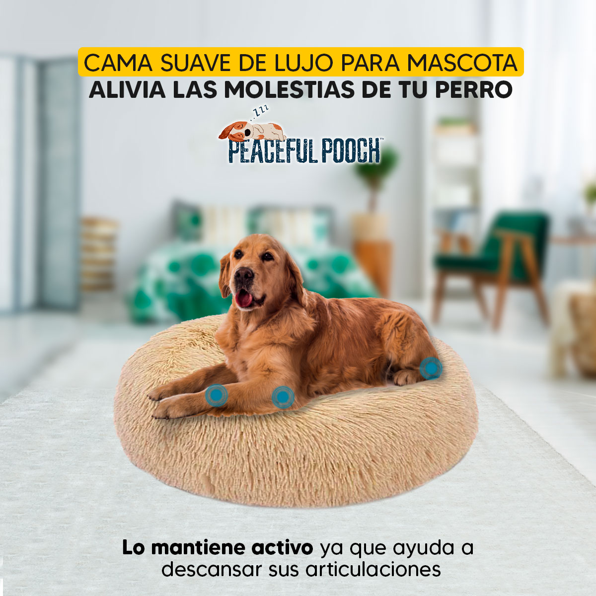 Cama mascotas para perro o gato antideslizante PEACEFULL POOCH Grande Tv Ofertas única con cierre, para un fácil retiro de funda y lavado, adaptable a todo tipo de clima  
