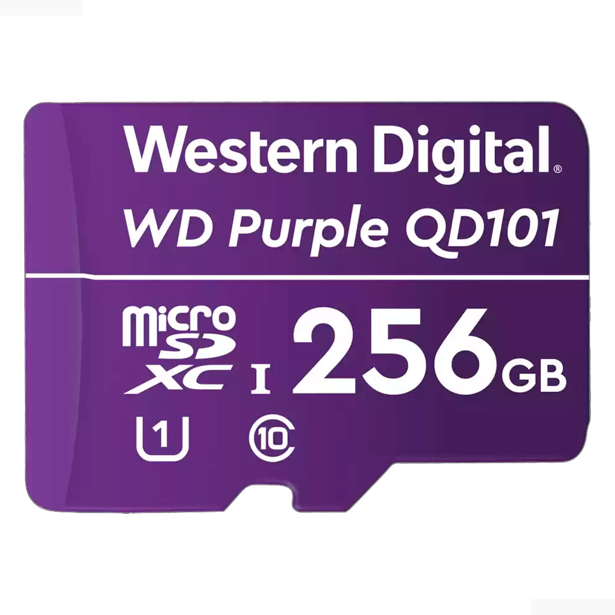   Tarjeta de Memoria Micro SD 256GB WDD0256G1P0C Ideal para videovigilancia CCTV