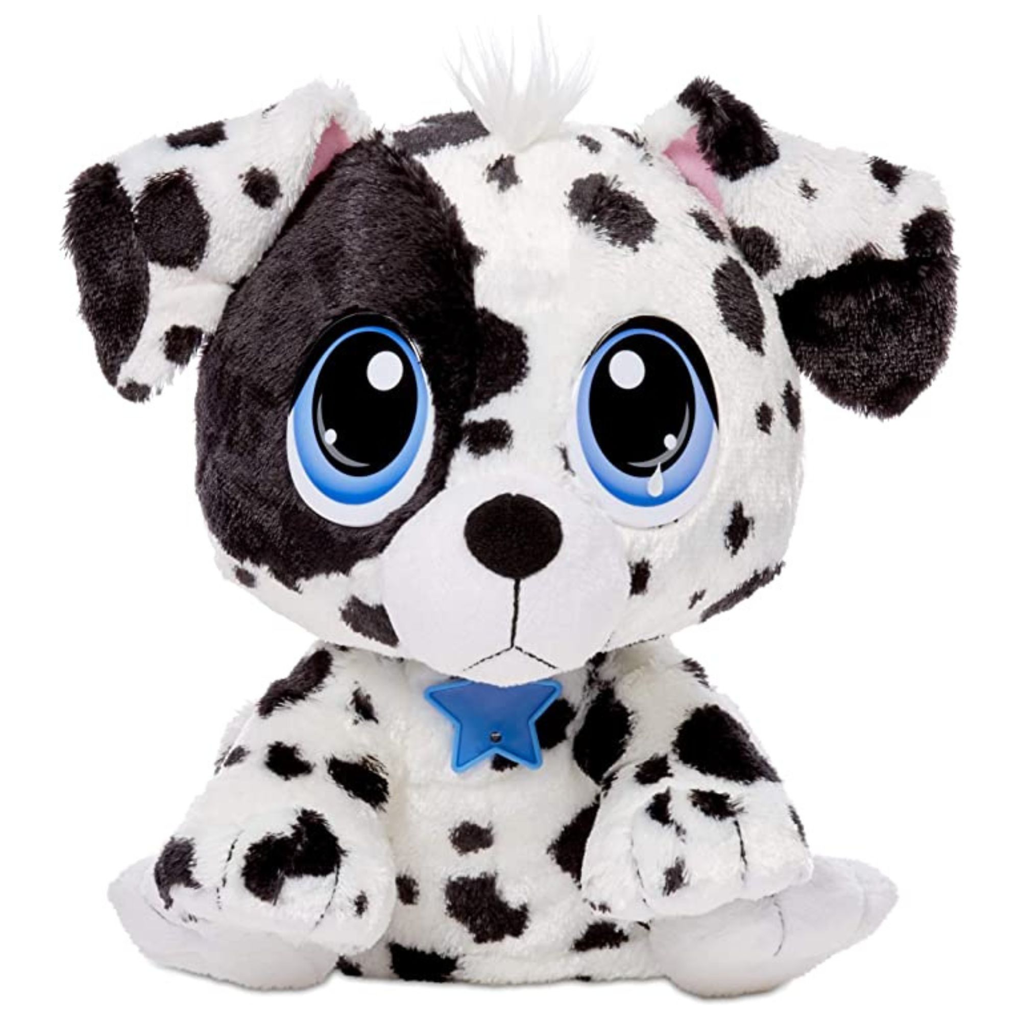 Rescate De Mascota Adopta Un Dálmata