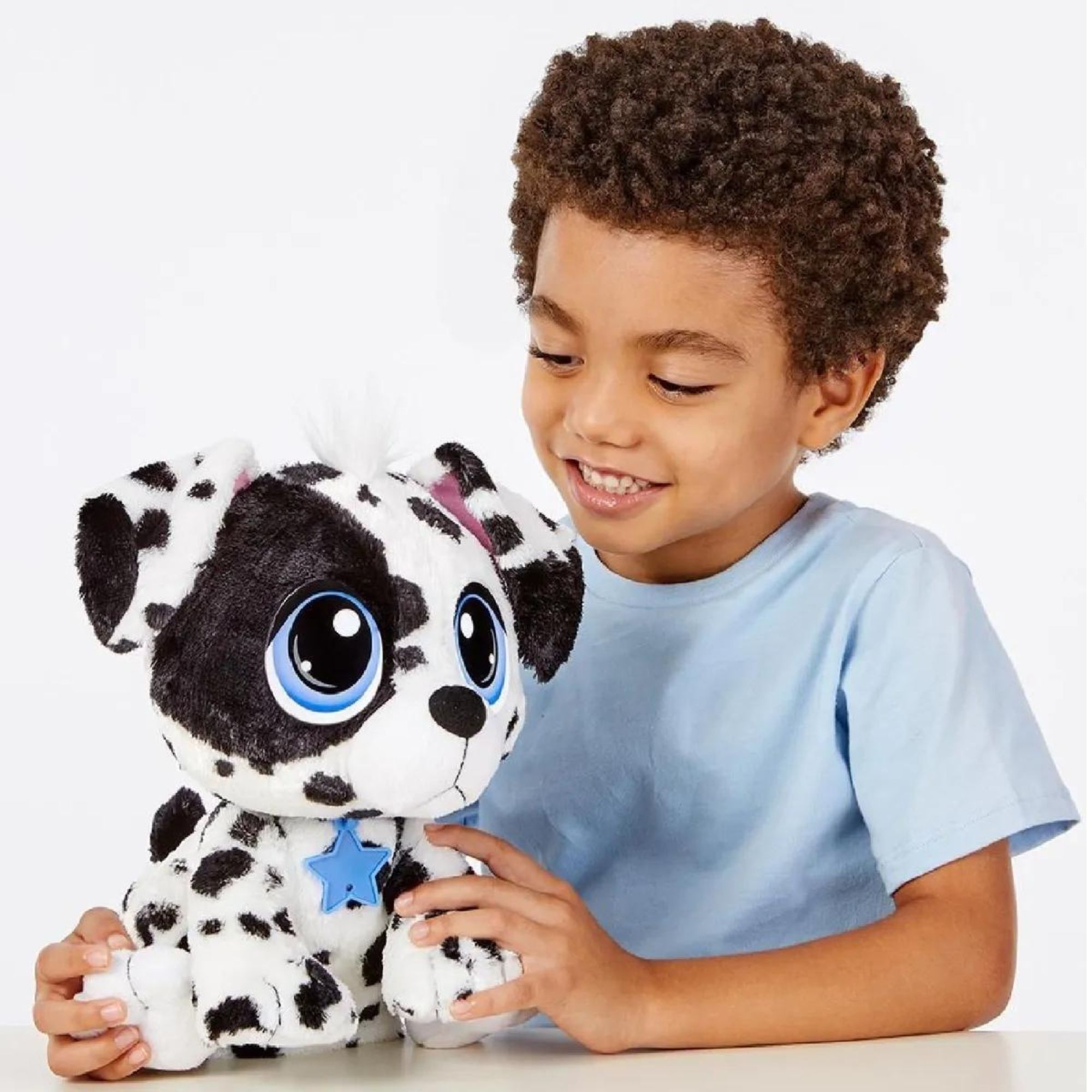 Rescate De Mascota Adopta Un Dálmata