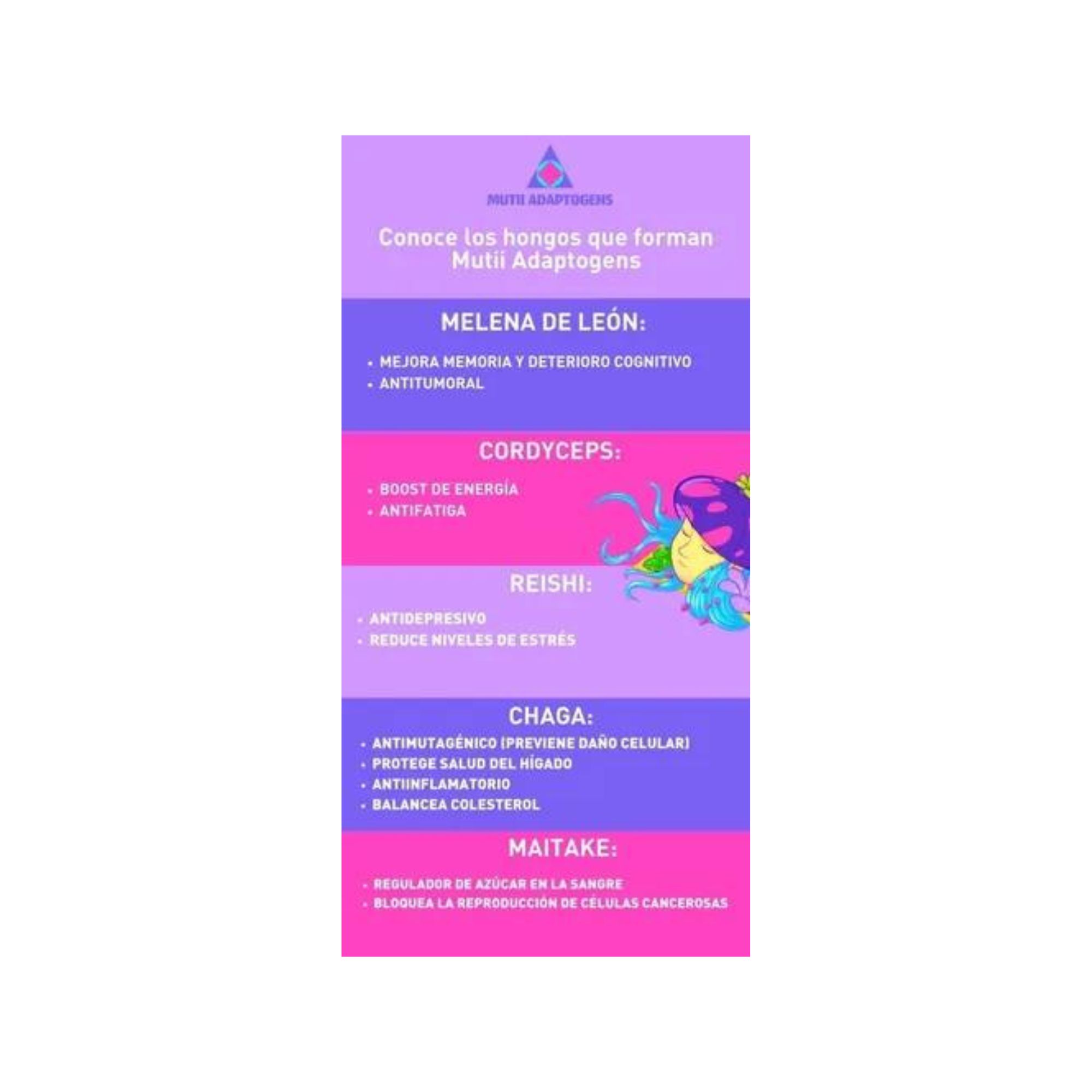 Special Brownies Harina Vegana Con Hongos Adaptógenos