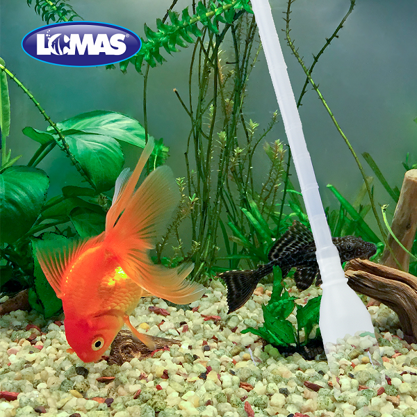 Sifón Con Bomba Para Peceras Acuario