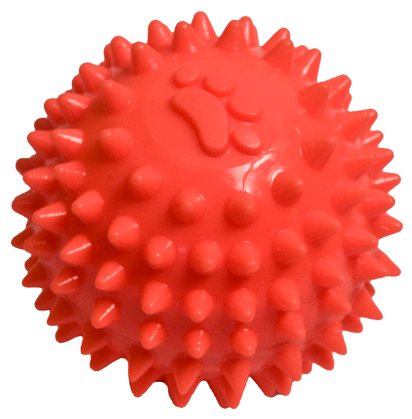 Juguete Mordedera Limpieza Dental Perro Pelota Spiny