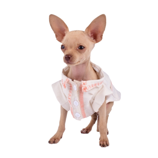 Guayabera color beige con bordados para mascota marca El Rebozo de Dolce