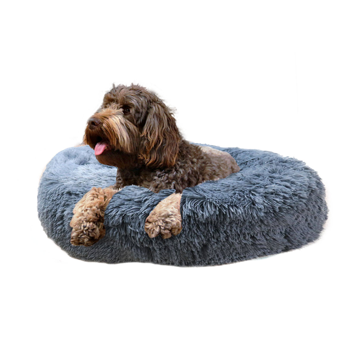 Cama mascotas para perro o gato antideslizante Pet Boutique Mediana Gris Tv Ofertas única con cierre, para un fácil retiro de funda y lavado, adaptable a todo tipo de clima + Cepillo Incluido 
