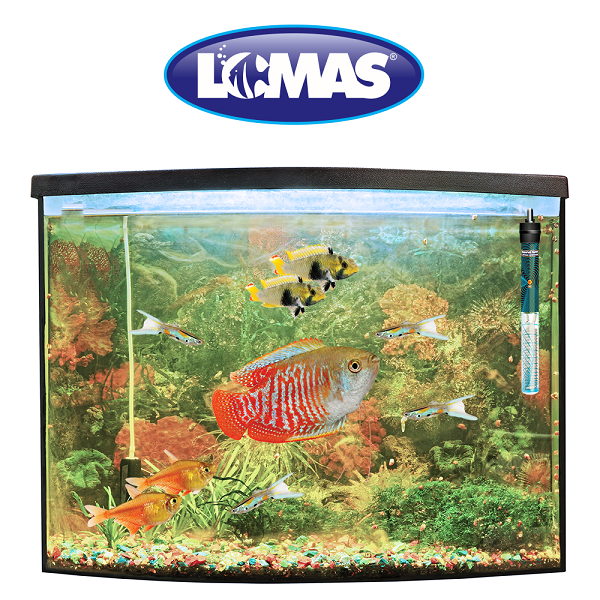 Termostato Calentador Thermojet 75w Peces Acuario 75litros