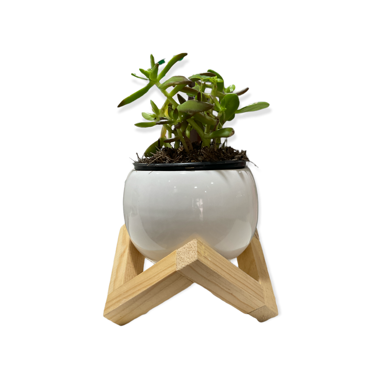 Maceta de cerámica con forma de esfera blanca con base de madera triangular